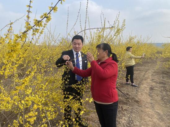 1745463810550215.jpg WechatIMG1338.jpg