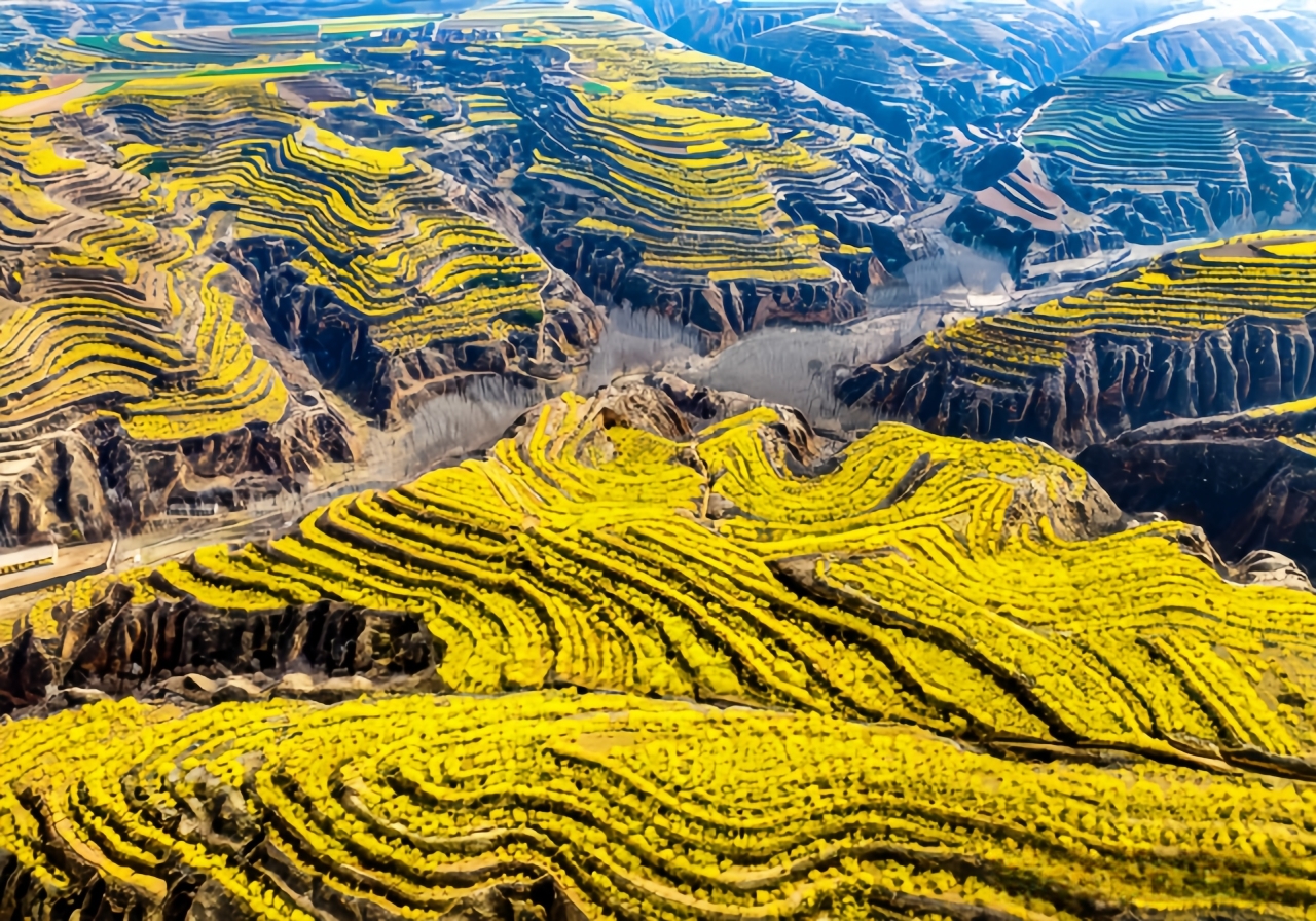 1745463829729026.jpg WechatIMG1342.jpg